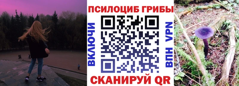 Псилоцибиновые грибы GOLDEN TEACHER  OMG зеркало  Северо-Курильск 